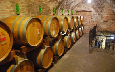 Cykla mellan vingårdar i Italien