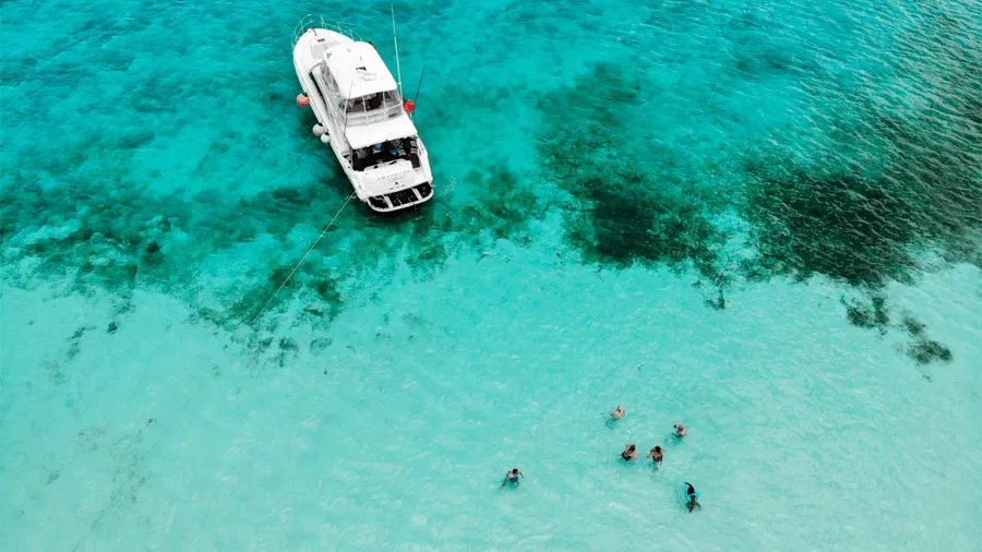 På en resa till Cozumel kan du bada i det turkosa vattnet.