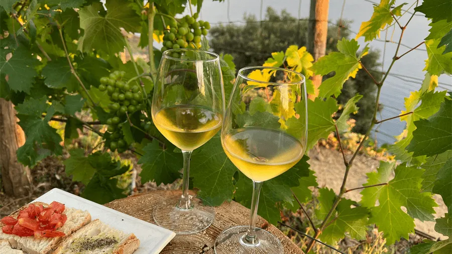 Mat och glas med vitt vin på vingård i Italien.