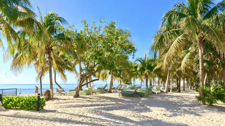 Solstolar på stranden i Riviera Maya.