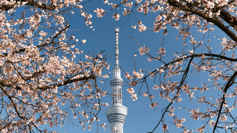 Tokyo skytree.