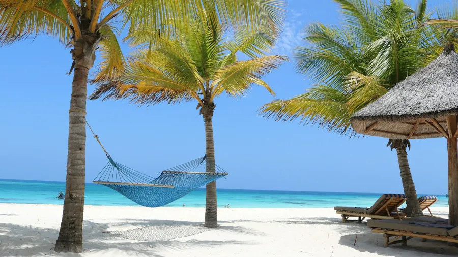 Hängmatta och sandstrand i Zanzibar.