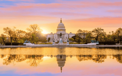 Äventyr i USA:s huvudstad – Saker du absolut inte får missa i Washington