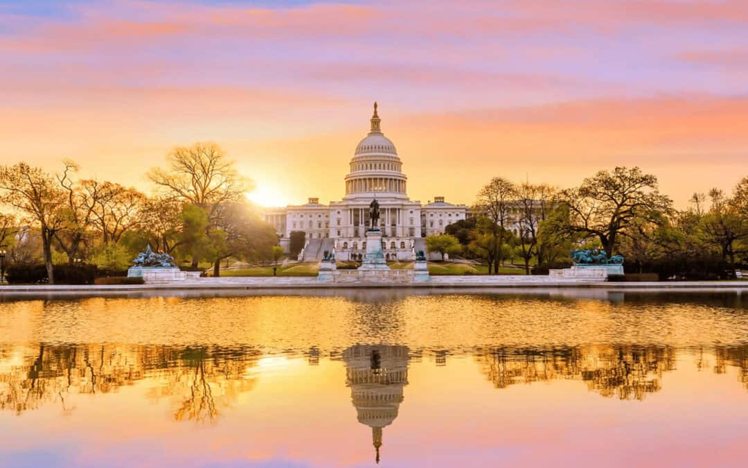 Saker du absolut inte får missa i Washington