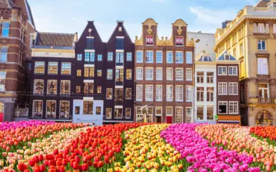Allt du behöver veta om Amsterdam