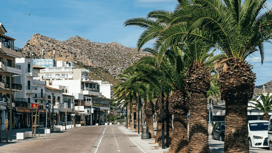 Palmer i Palma de Mallorca.