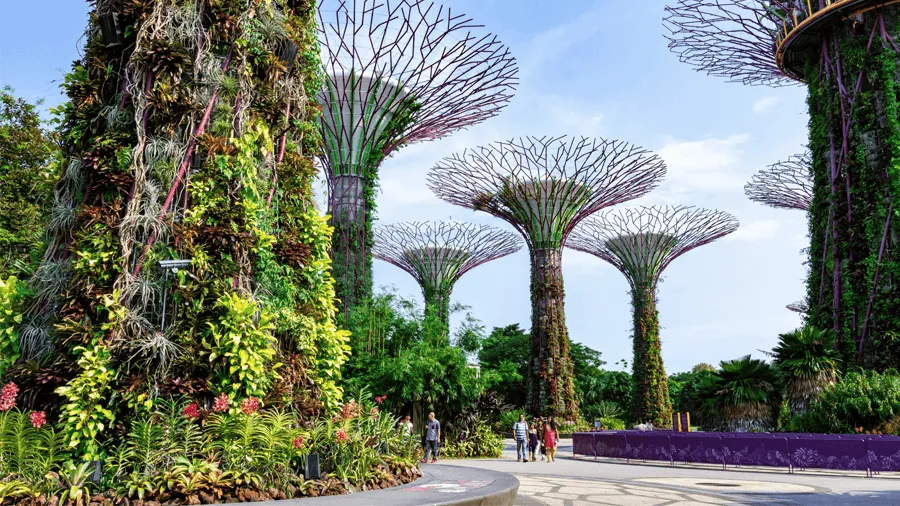 Gardens by the bay i Singapore.
