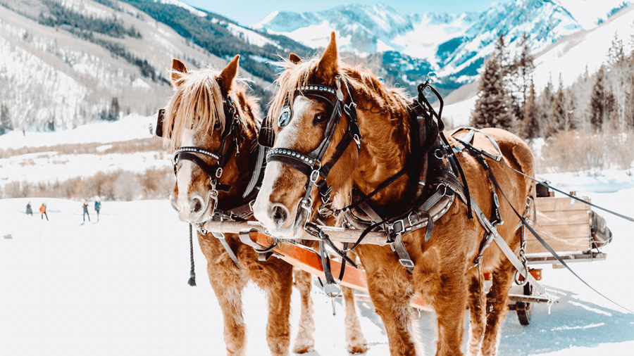 Saker att göra i Aspen i Colorado Häst och vagn i Aspen i Colorado.
