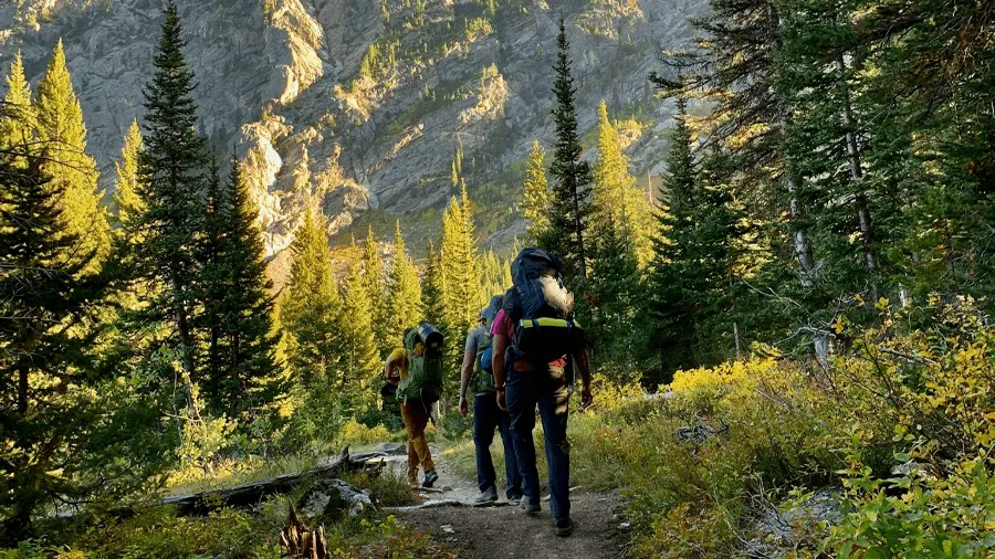 Vandring i Wyoming.