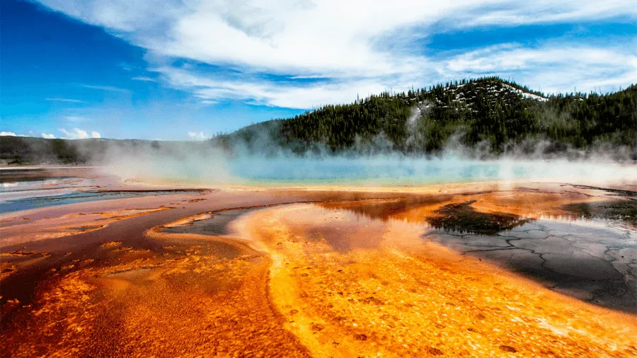 Yellowstone nationalpark i Wyoming i USA:.