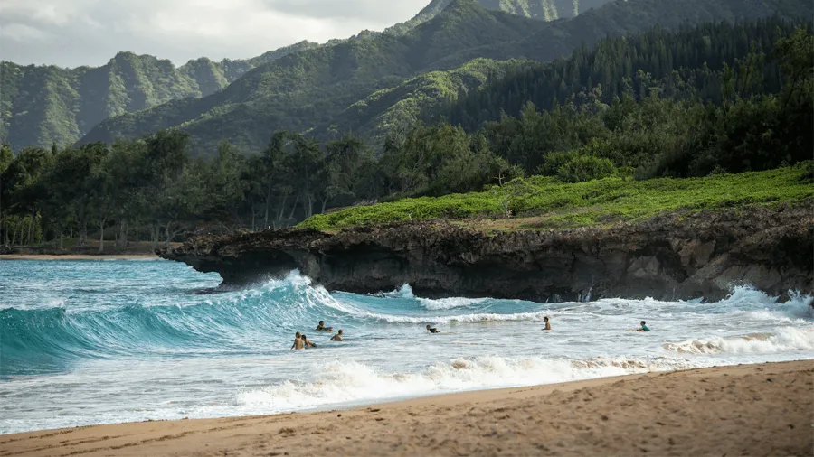Surfare i vattnet på Hawaii.