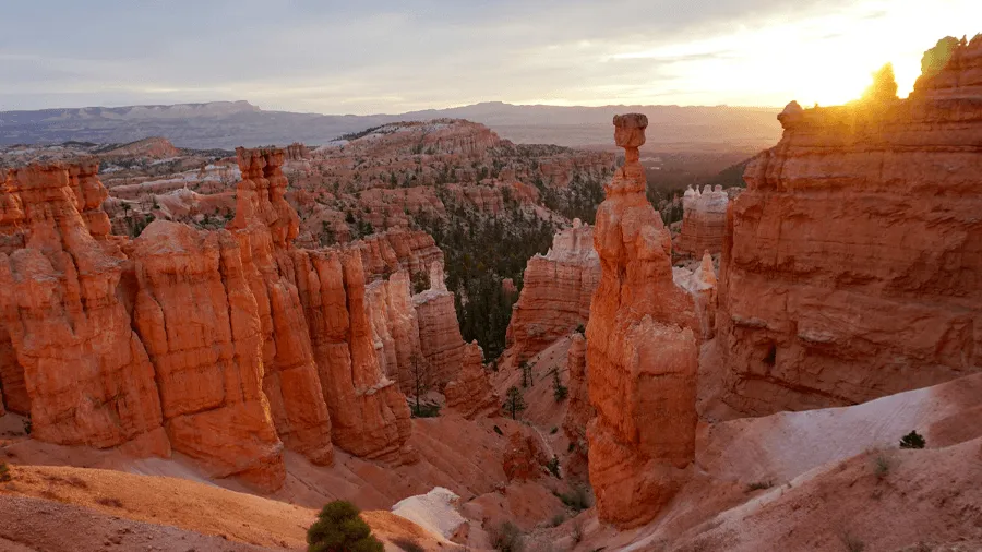 Bryce canyon nationalpark är en av många nationalparker i USA.