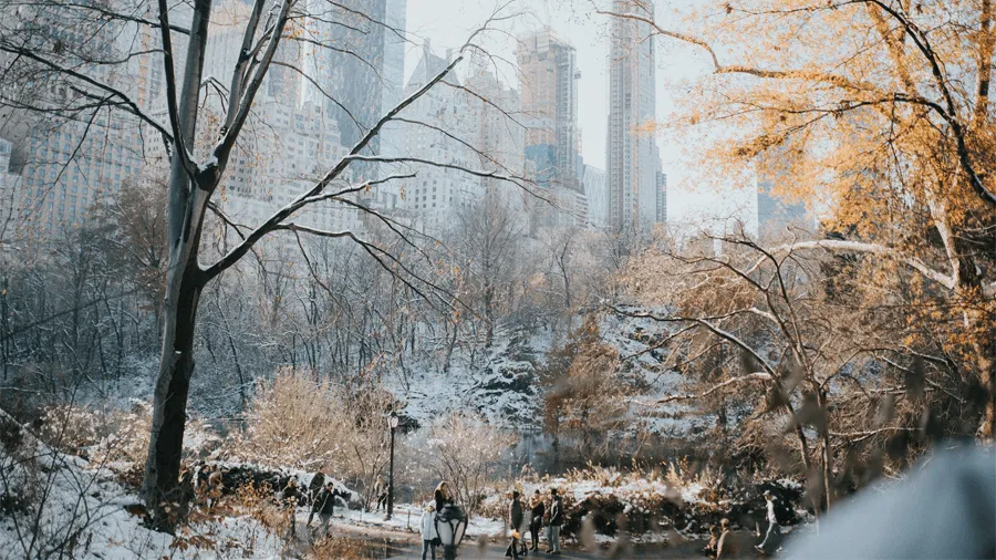 Vinter i New York City i USA.