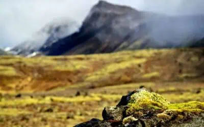 Blogg Turistrutten Gyllene cirkeln i Island