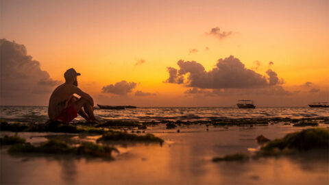 Res till Zanzibar och upptäck stranden Paje.