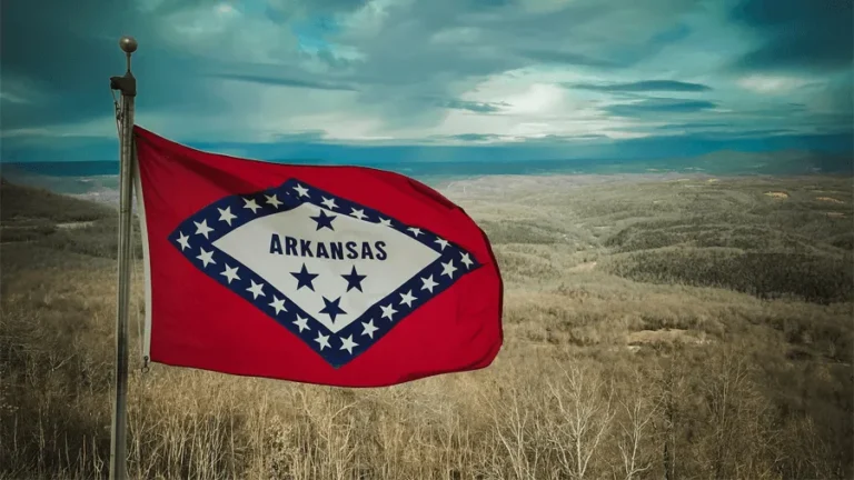 Arkansas delstatsflagga.