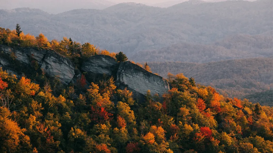 Berg och höstlöv i North Carolina.