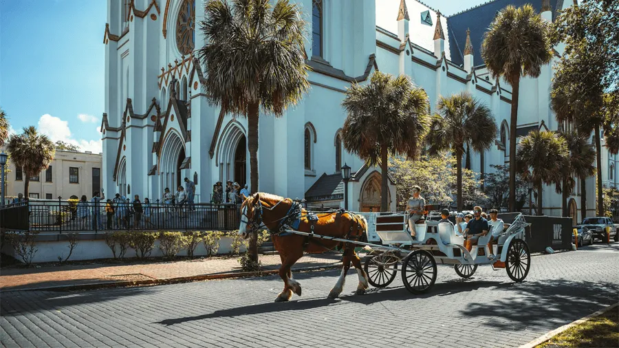 Häst och vagn i staden Savannah, Georgia.