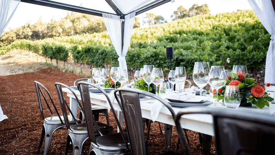 En vinservering i Napa Valley är ett perfekt stopp på en resa till Kalifornien.