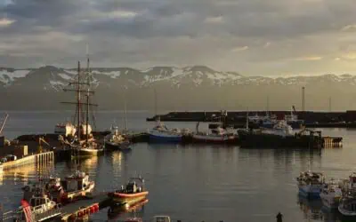 Res till Island Skjálfandibukten