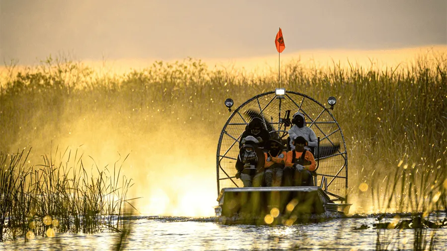 Båt som åker i Everglades.