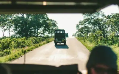Safari i Afrika Hitta rätt safaripark i Sydafrika