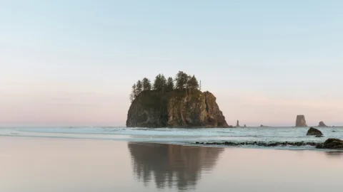 Strand i Olympic national park, Washington.