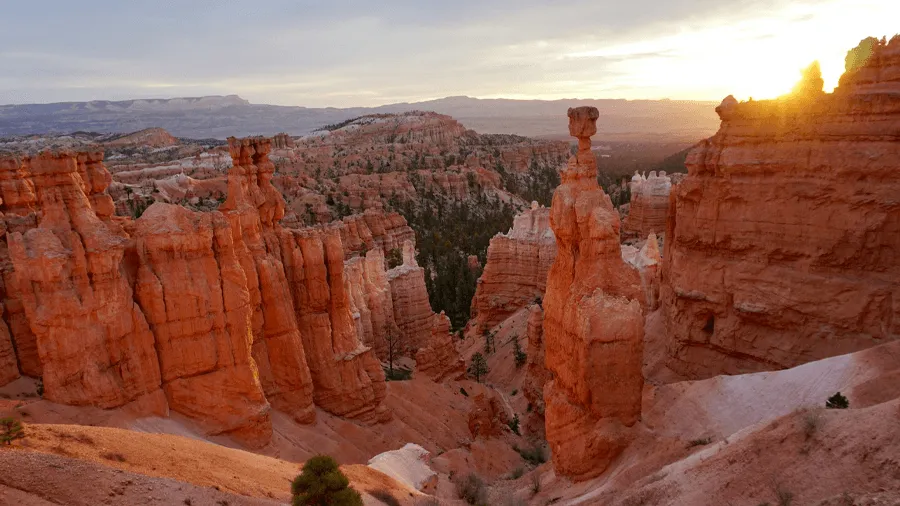 Bryce canyon national park i Utah under soluppgången.