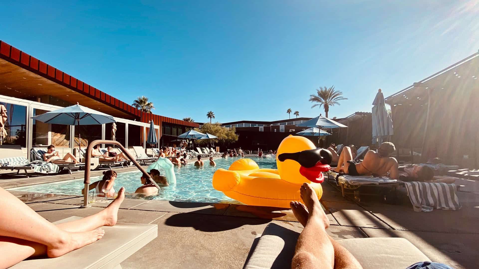 Poolläge på resort i Palm Springs.