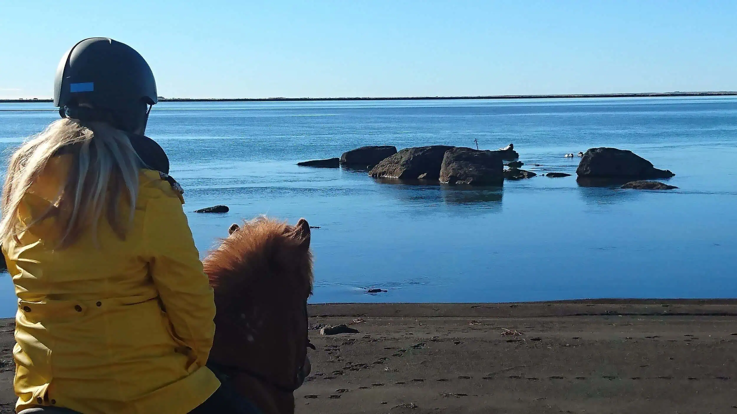 Välj en ridtur på Island för att se Islands natur under våren, exempelvis på en Islandsresa under Kristi himmelsfärd.