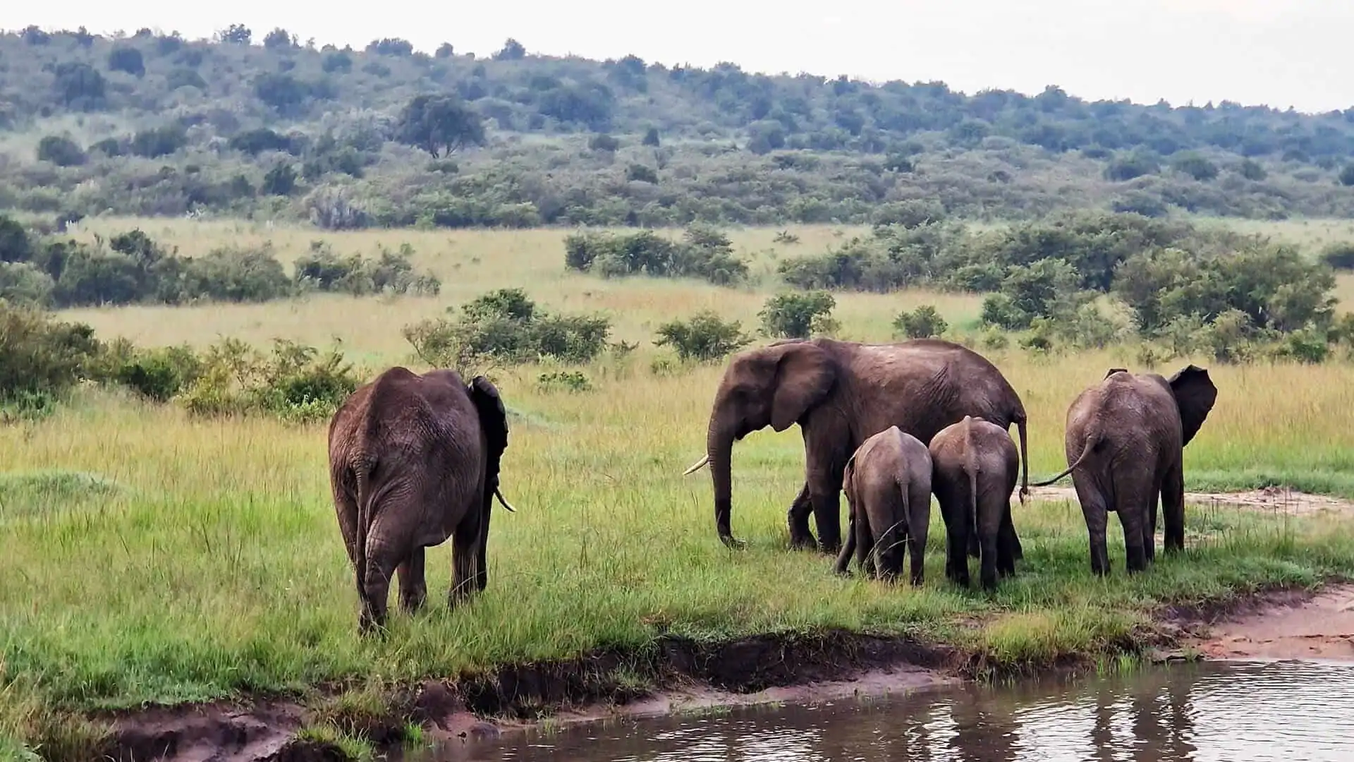 Weekend med safari i Masai Mara – Kenya