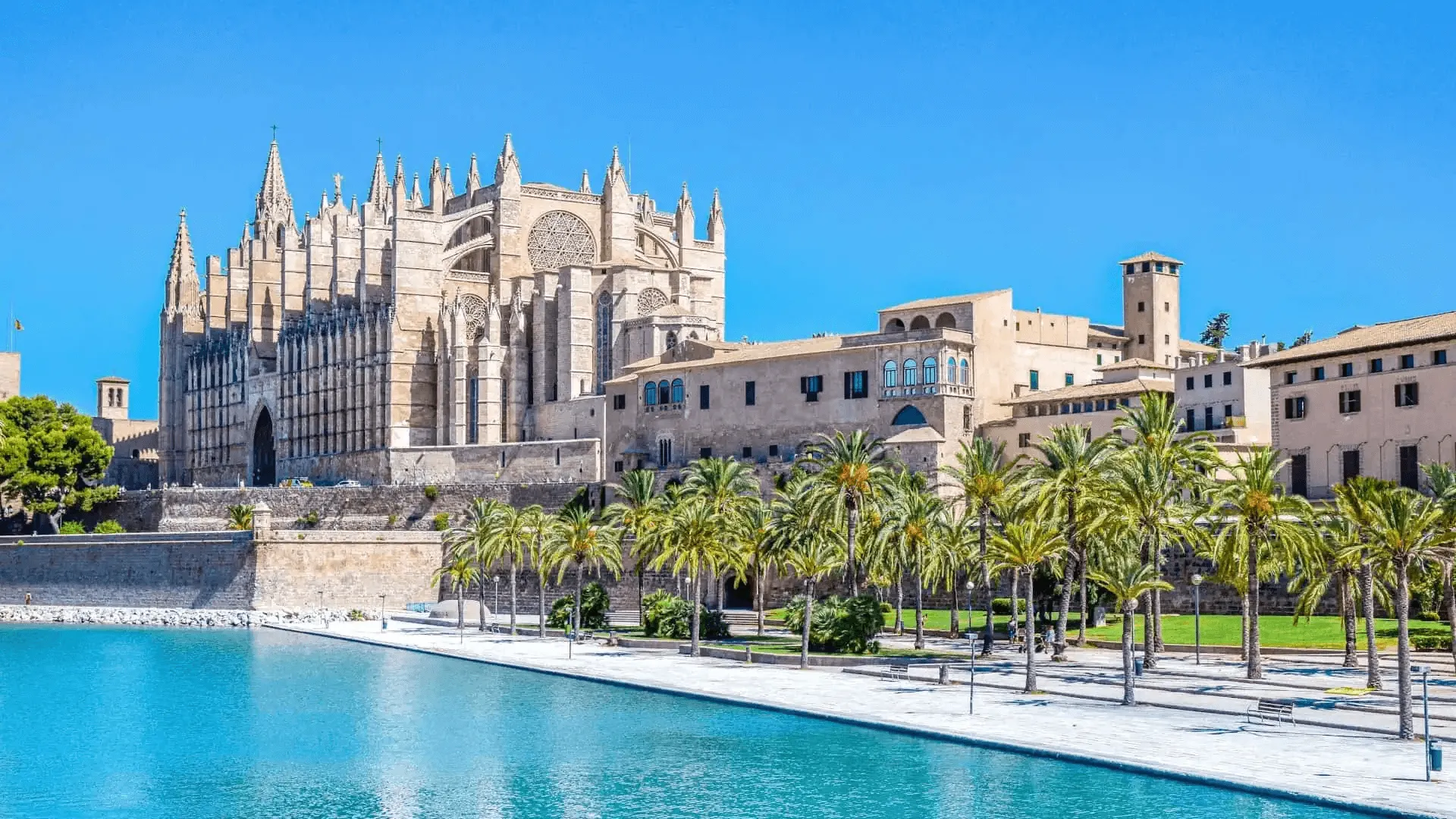 La Seu