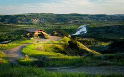 En safari i Afrika North Dakota i USA