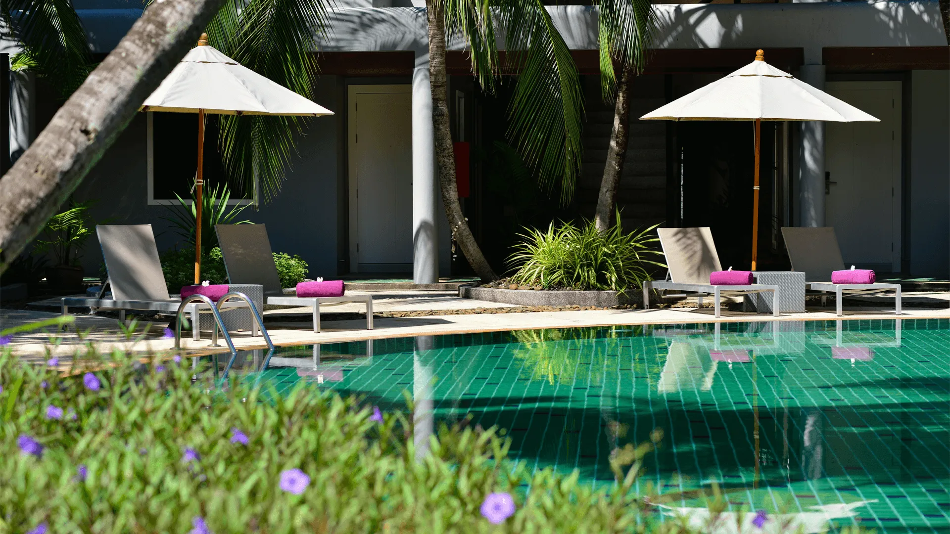Privat pool med solstolar.