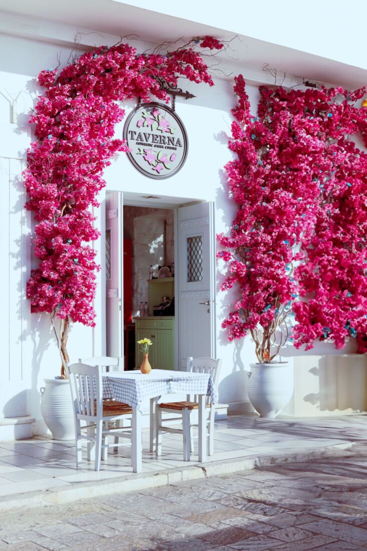 Grekisk taverna med bougainvillea och uteservering