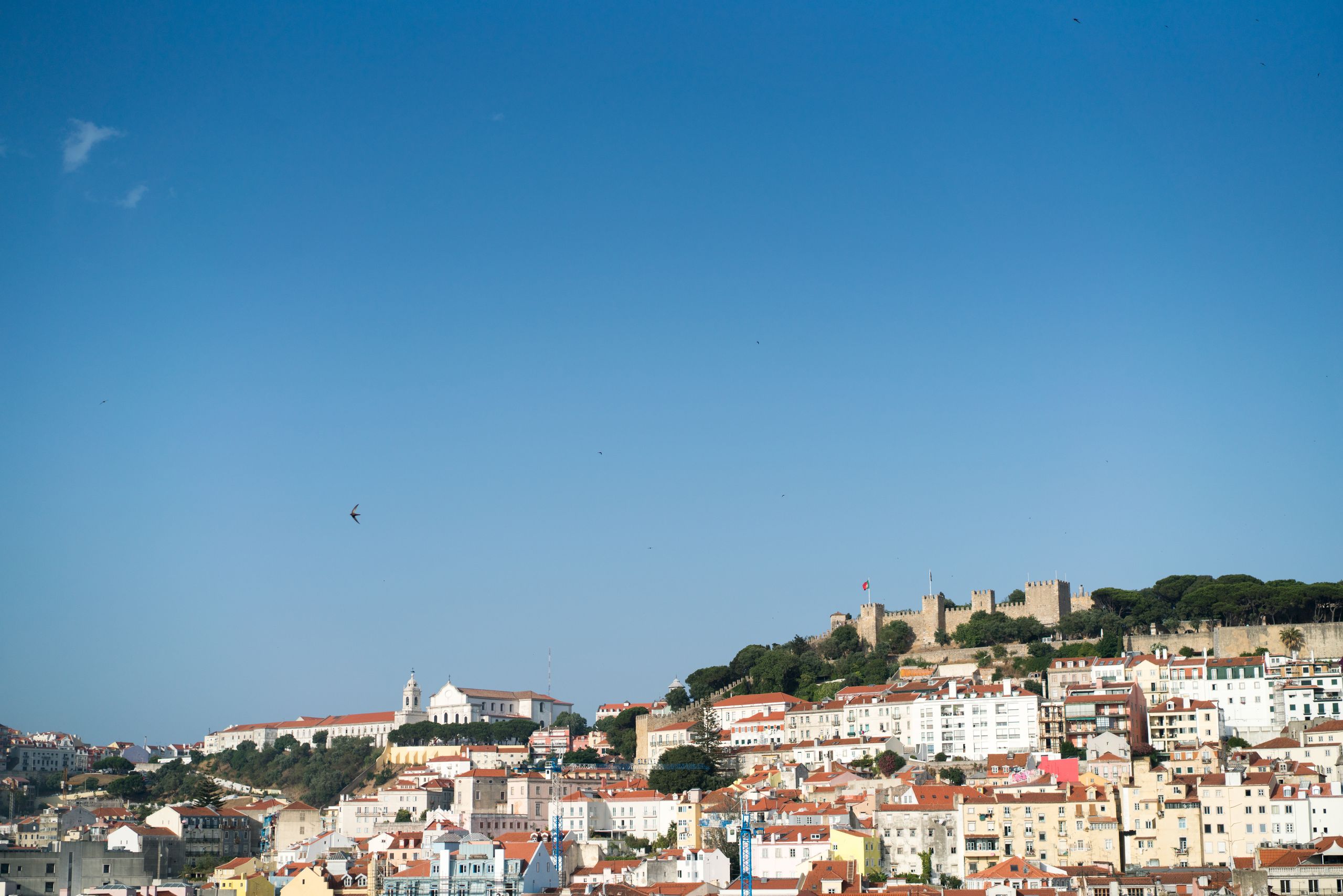 Lissabons hus och borgen Castelo de São Jorge under klarblå himmel