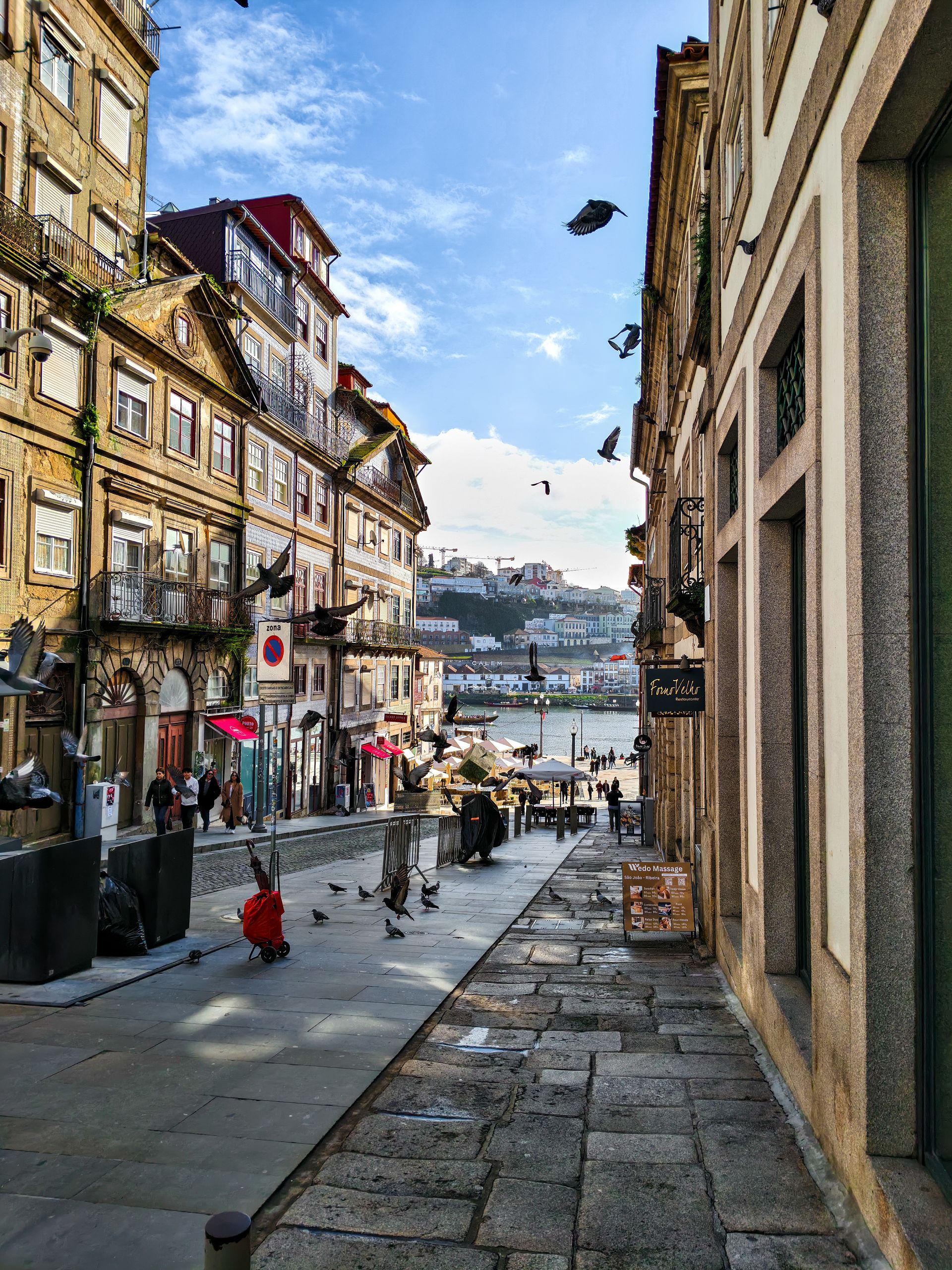 Gata i Porto med historisk arkitektur och fåglar som lyfter