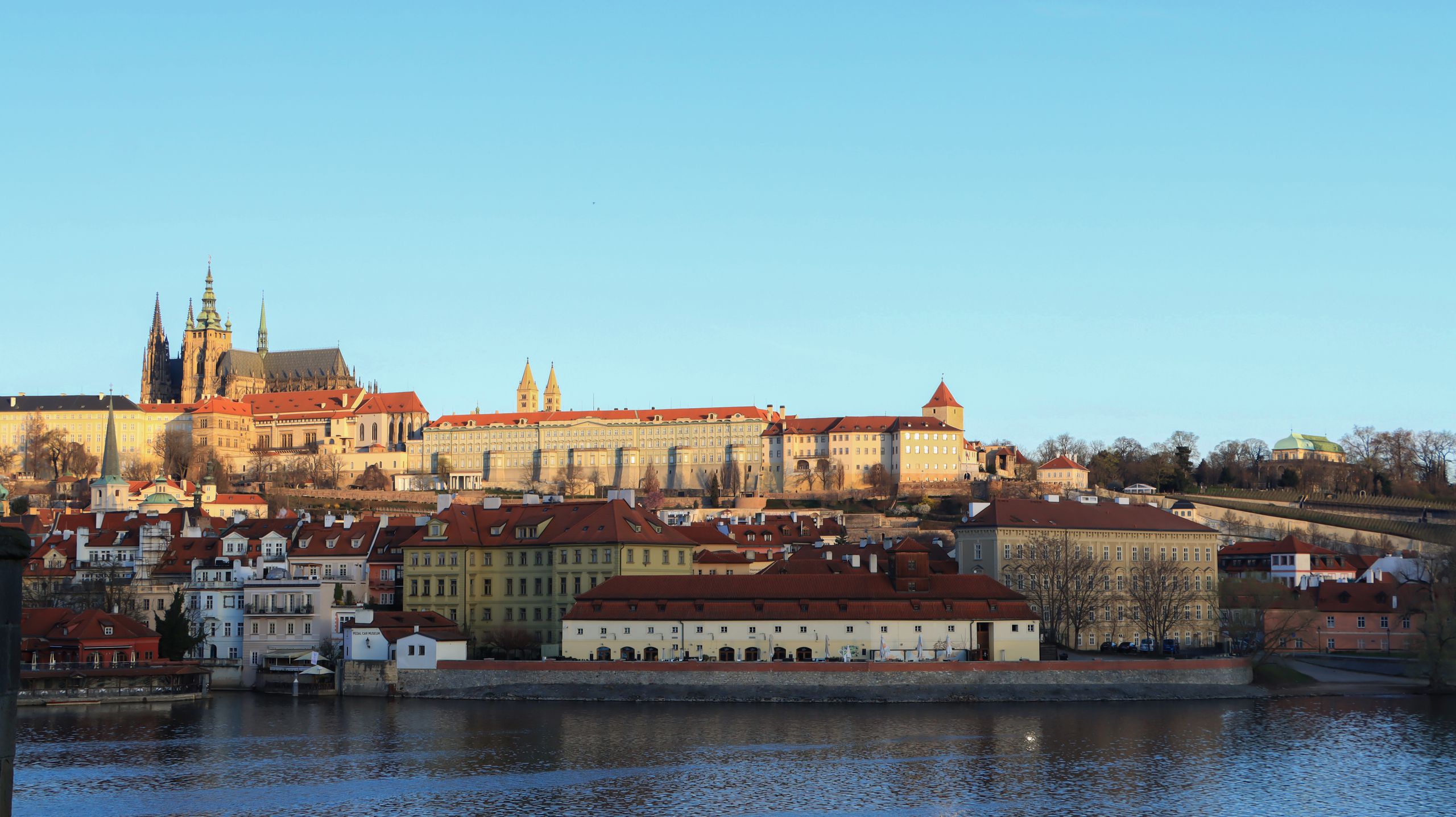 Pragborgen och Sankt Vitus-katedralen sedda över Moldau i Prag